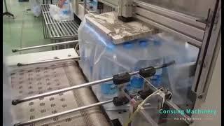 Automatic Shrink Wrapper Machine