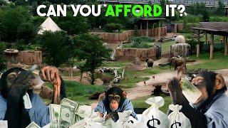 The Shocking Cost of Owning a Zoo!