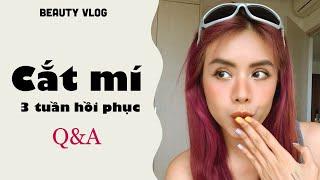 |Beauty Vlog| Review Mắt Sau 3 Tuần Cắt Mí - Q&A