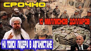 Очень Срочно Вознаграждение! 10 миллионов долларов на поиск лидера  в Афганистане!