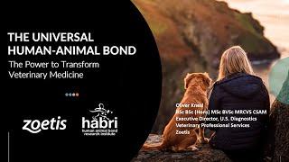 The Universal Human Animal Bond: The Power to Transform Veterinary Medicine