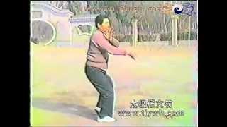 Yang Wenhu Chen Taijiquan, Chen Zhaokui Student, Beijing