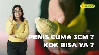 Dokter 24 - Micro Penis, Penis Mini 3 cm Apa Bisa Dibuat Jumbo?