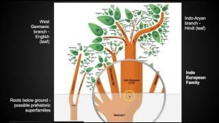 Chapter 5 Key Issue 1 - Language - AP Human Geography