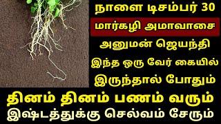 நாளை Dec-30 மார்கழி அமாவாசை அனுமன் ஜெயந்தி இந்த வேர் போதும்! markazhi amavasai hanuman jayanthi 2024