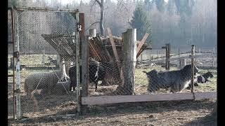 Dudutki-open-air ethnographic Museum in Belarus