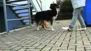 Video Sami, Tricks.wmv