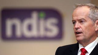 IMF report puts 'more pressure' on govt to do something about the cost of the NDIS