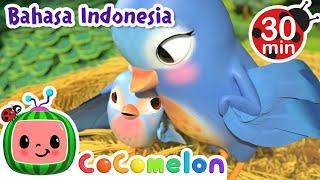 ️Lima Burung Kecil Belajar Terbang️ | CoComelon Bahasa Indonesia - Lagu Anak | Nursery Rhymes