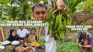 PANEN PETE SAMA SELADA AIR KITA MASAK YANG SPESIAL, MAKAN SAMBIL DITEMANI HUJAN DERAS ENAK BANGET!!