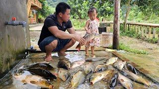 Harvesting fish on the farm bring it to the market sell/XuanTruong.