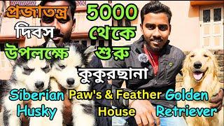 Best Dog Kennel Serampore | Paws & Feather House | Low Price Puppy Sell Serampore