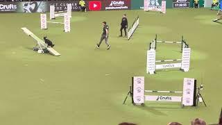 Crufts Agility Friday night 2023