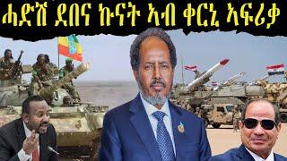 ሶማል ከም መጣልዒ ባይታ ብቱርክን ግብጽን   ሓድሽ ብድሆ ኣብ ልዕሊ ብልጽግና