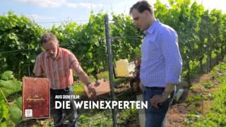 Die Weinexperten: Das Einpflanzen einer neuen Wein-Rebe (Teil 1/3)