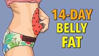 14-Day Belly Fat Workout - Drain Fat from Your Stomach