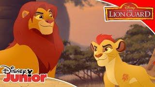  Battle of the Pride | The Lion Guard | Disney Channel Africa