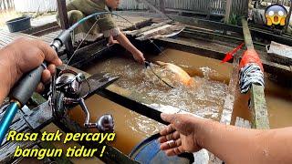 Saya seperti mimpi strike ikan Bawal monster 2 ekor Mancing di atas keramba apung