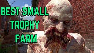 Small (Uncommon) Trophy Farm In Dying Light 2