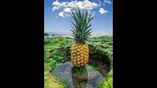 15 Proven Health Benefits of Pineapple