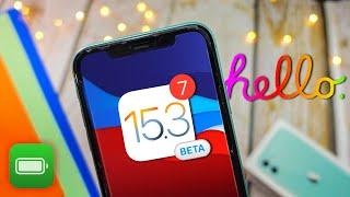 iPhone 11 On iOS 15.3 | Tech Hyped