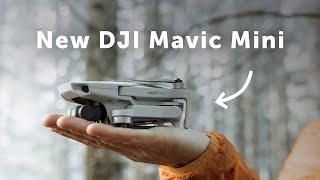 Cinematic Footage with the DJI Mavic Mini? | Hands-On Review