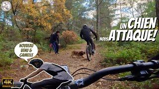 VTT ATTAQUE DE CHIEN