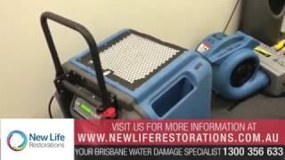 How to Dry Water Damage Kitchen Cabinets and Walls in Brisbane