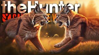 Jagd nach dem LUCHS Multimount! | theHunter Call of the Wild