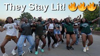 The Littest Cheer Team in Charlotte, NC! | Meet The Stars