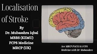 Stroke Localisation | Anatomical & Vascular Territory | Lesion at Cerebral Cortex & Internal Capsule