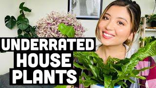 TOP UNDERRATED HOUSEPLANTS | PLANTS THAT I'M LOVING