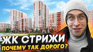 ЖК Стрижи в Невском районе СПб / Самый дорогой комфорт класс