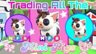 Trading All The Mini Pigs In Adopt Me 