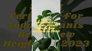 8 #Best #Fertilizer For #Indoor #Plants Reach New #Heights in #2023