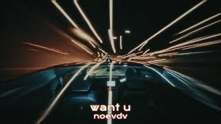 noevdv - want u [official visualizer]