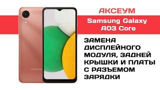 Замена экрана, задней крышки и разъема зарядки на Samsung Galaxy A03 Core