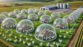 How Billions of Chicken Are made By Mobile Chicken Coops | Smart Farming