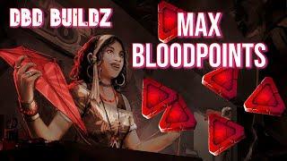 The BEST Survivor Blood Point Build & Guide! ( For ALL Players )