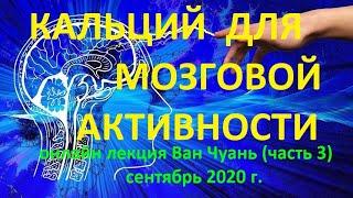 3  Кальций для  мозговой активности