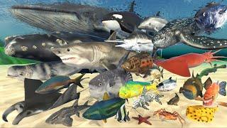 Sea Animals SPEED COMPARISON in 3D Animation | Realistic World Data