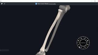 ANATOMY OF RADIUS-3D VIDEO #UPPER LIMB#3D ANATOMY