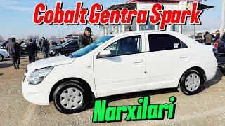 Cobalt Gentra Spark Narxlari Samarqand moshina bozori #cobalt #spark #gentra #automobile #avto #rek