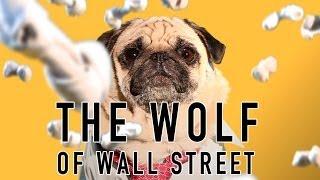 The Wolf of Wall Street (Cute Pug Version)