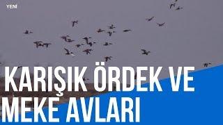 2019 ÖRDEK AVI - MEKE AVI -ÇAMURCUN AVI-DUCK HUNTİNG-caccia alle anatre-Утиная охота-صيد البط