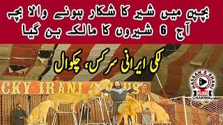 Lucky Irani Circus Chakwal  | King of Lions  | Thrilling Performances 