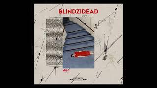 [10+] (FREE) Guitar Loop Kit/Sample Pack 2022 "Blindzidead"