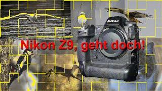 Nikon Z9, geht doch!