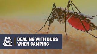 Life Hacks for Dealing with Bugs When You're Vacationing Outdoors | Campsite Classes