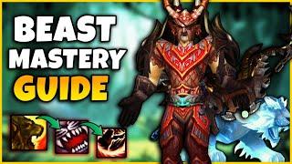 Beast Mastery CATACLYSM PVP Guide | Stats, Gear, Talents, Macros, Pets, Gamplay | CATA CLASSIC